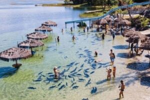 lagoa-dos-tambaquis