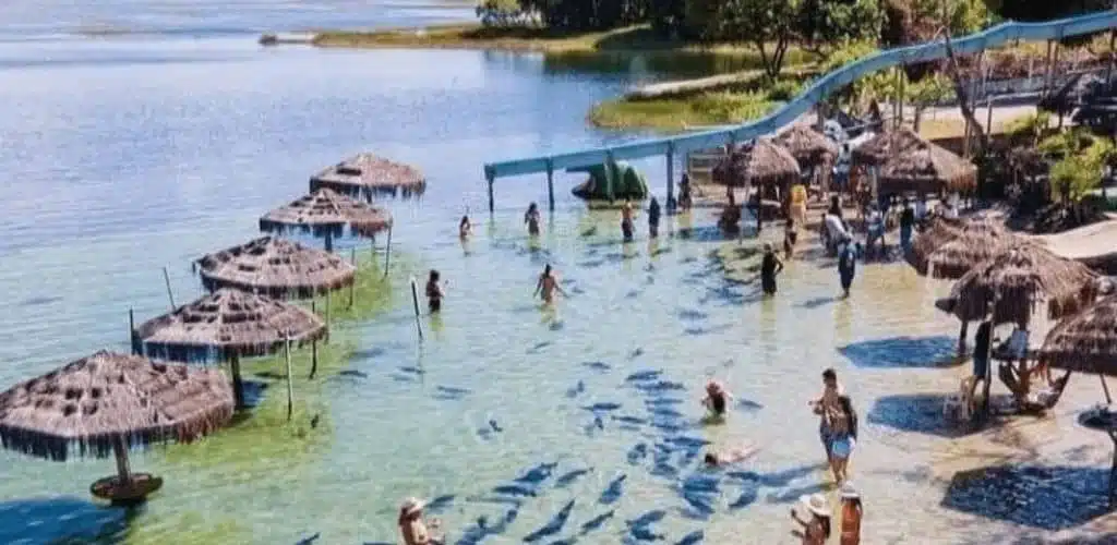 lagoa-dos-tambaquis