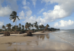 Ponta do Saco Sergipe