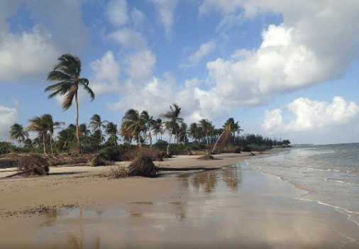 Ponta do Saco Sergipe