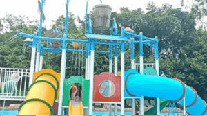 Timbó sergipe