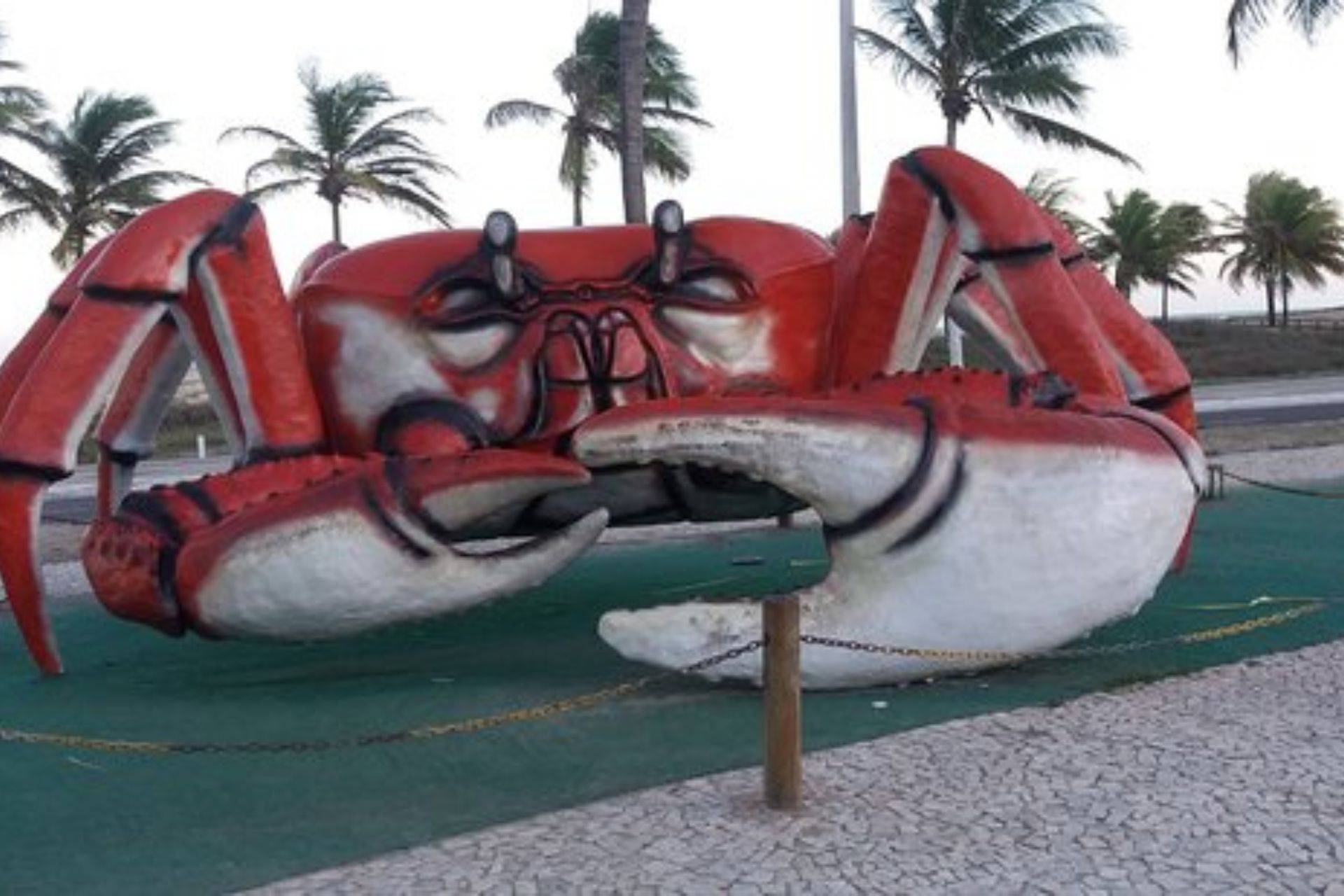 Caranguejo-de-aracaju.jpg