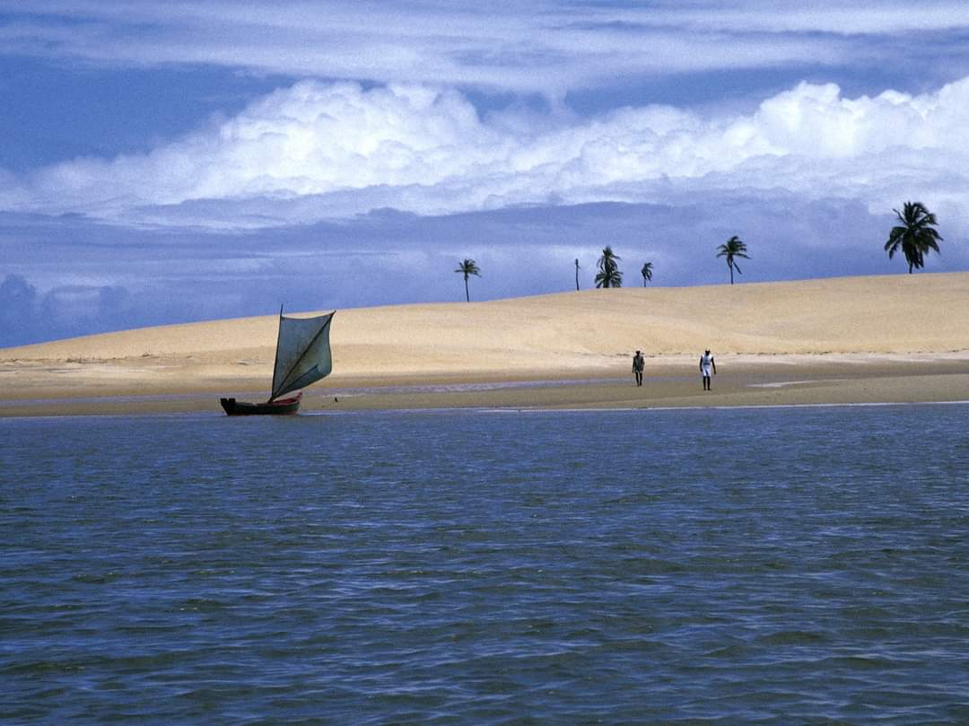 dunas-foz-do-sao-francisco.jpeg